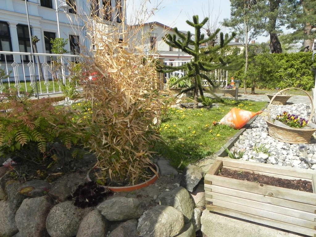 Strandnahe Ferienwohnungen Heringsdorf  Eksteriør bilde